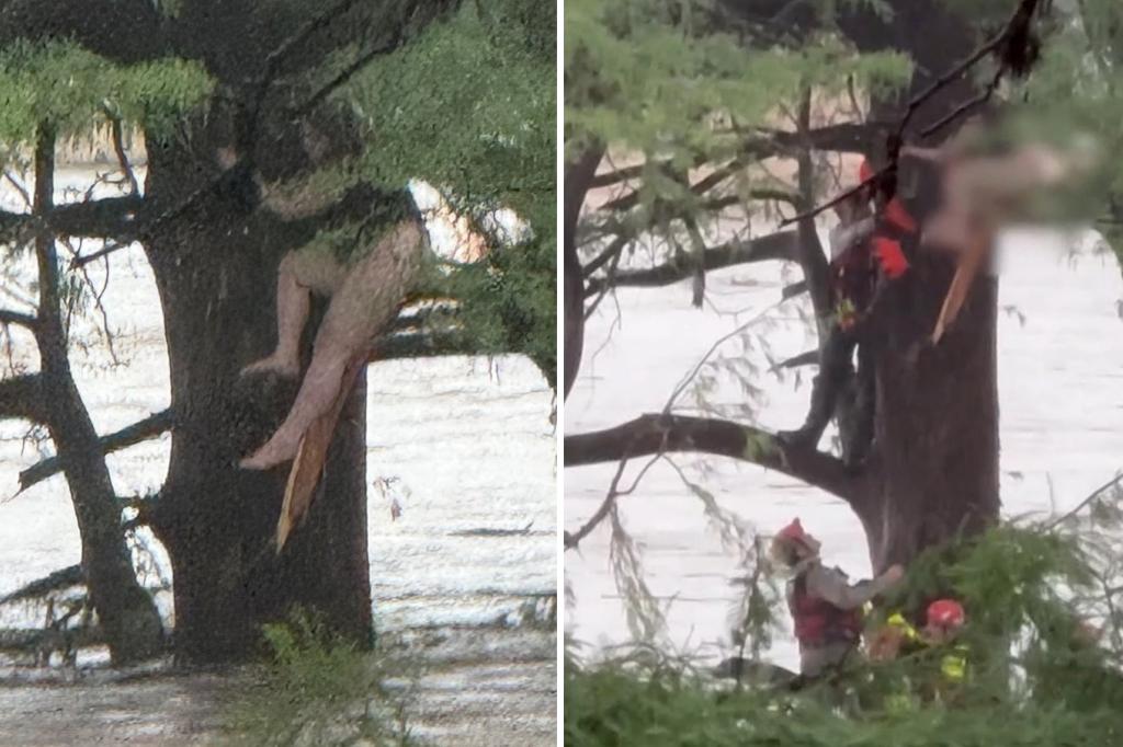 Woman found clinging to tree in raging Texas floods