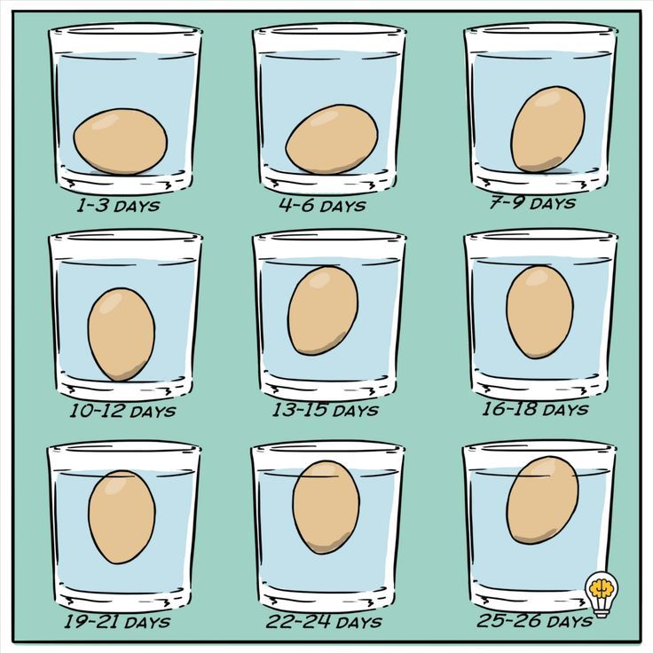 Test the Freshness of Your Eggs with this Simple Tip!