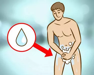 Penis Health - how to articles from wikiHow