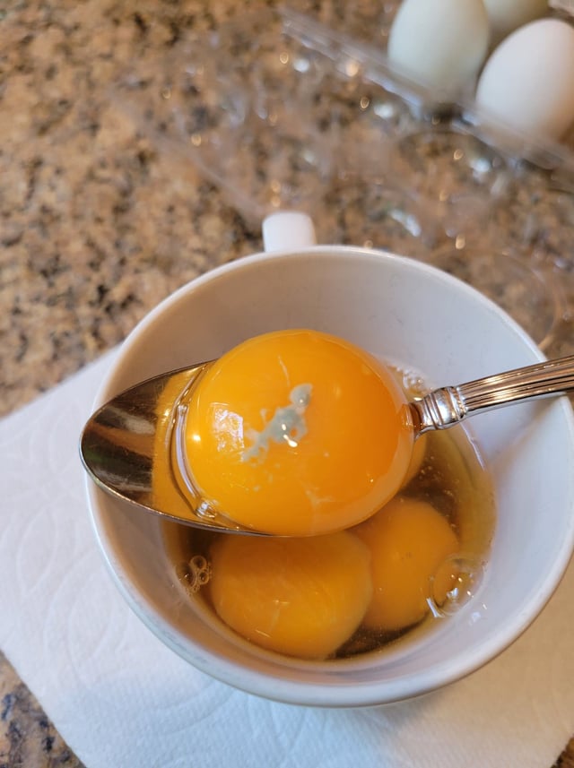 What's this green spot on my egg yolk? mold? : r/chickens