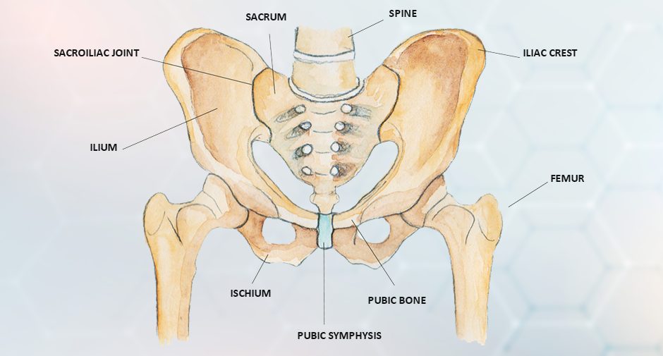 Does Anterior Pelvic Tilt Cause Low Back Pain? - PT NYDNR NYC