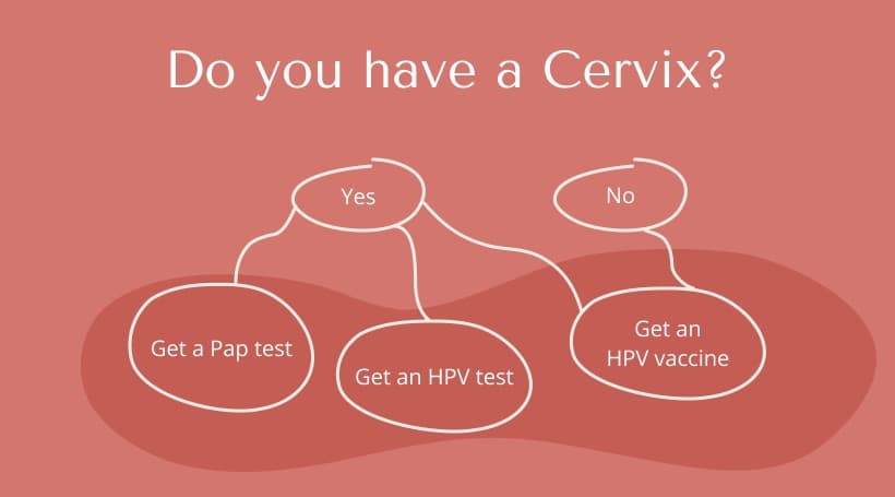Top 6 HPV Vaccination Myths - Debunked. | HPV | Blogs | Proactive For Her
