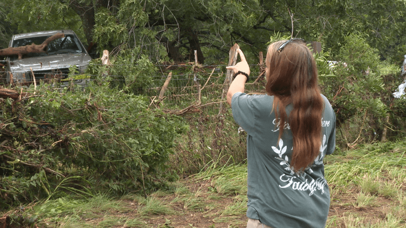 Texas floods: Woman says family survived in tree after being swept up in water