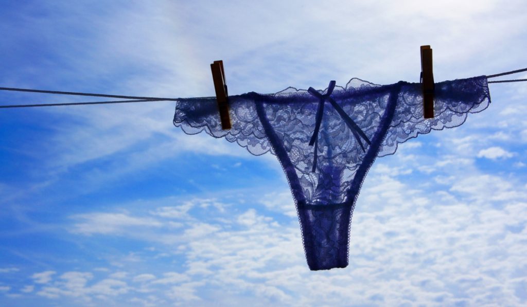 People Are Only Just Realizing Why There's a Bow on Women's Underwear : Secret Life Of Mom